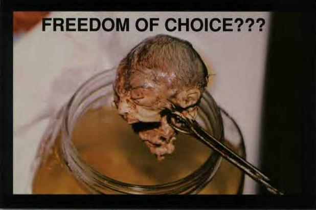 freedomofchoice