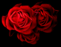 I love my honey