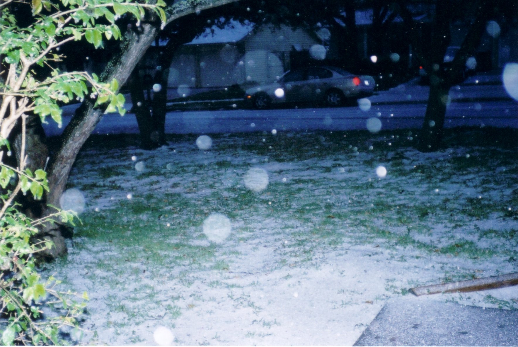 February 24, 2003 - 7:20PM