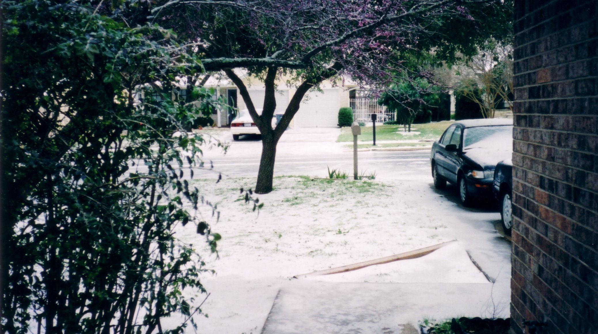 February 25, 2003 - 10:15AM