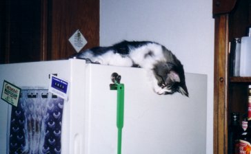 "Is it time to eat yet?"