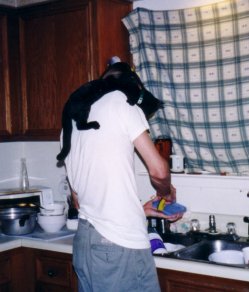 Yoda helping Mark with the dishes