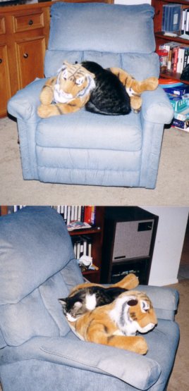 Click for more of "King" Tater
