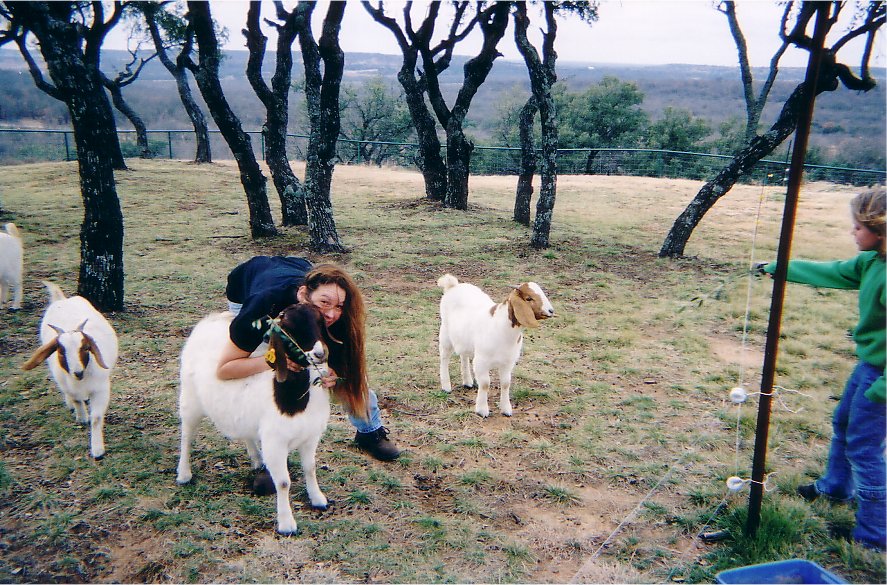 Have you hugged your goat today?