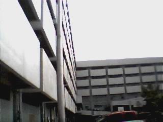 Institute of Medicine from the back