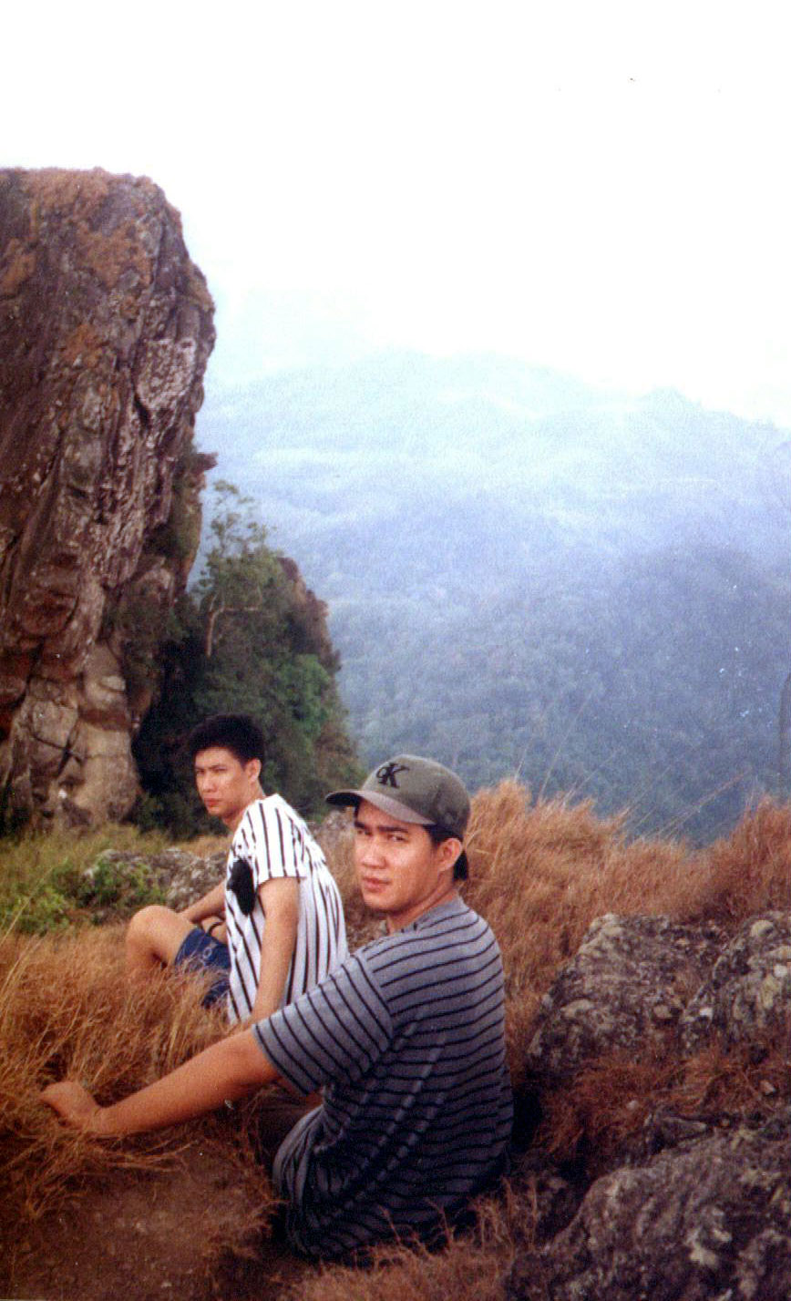 on top of "parrots beak"