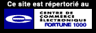 Centre de Commerce �lectroniqueFortune 1000