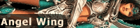 AngelWing