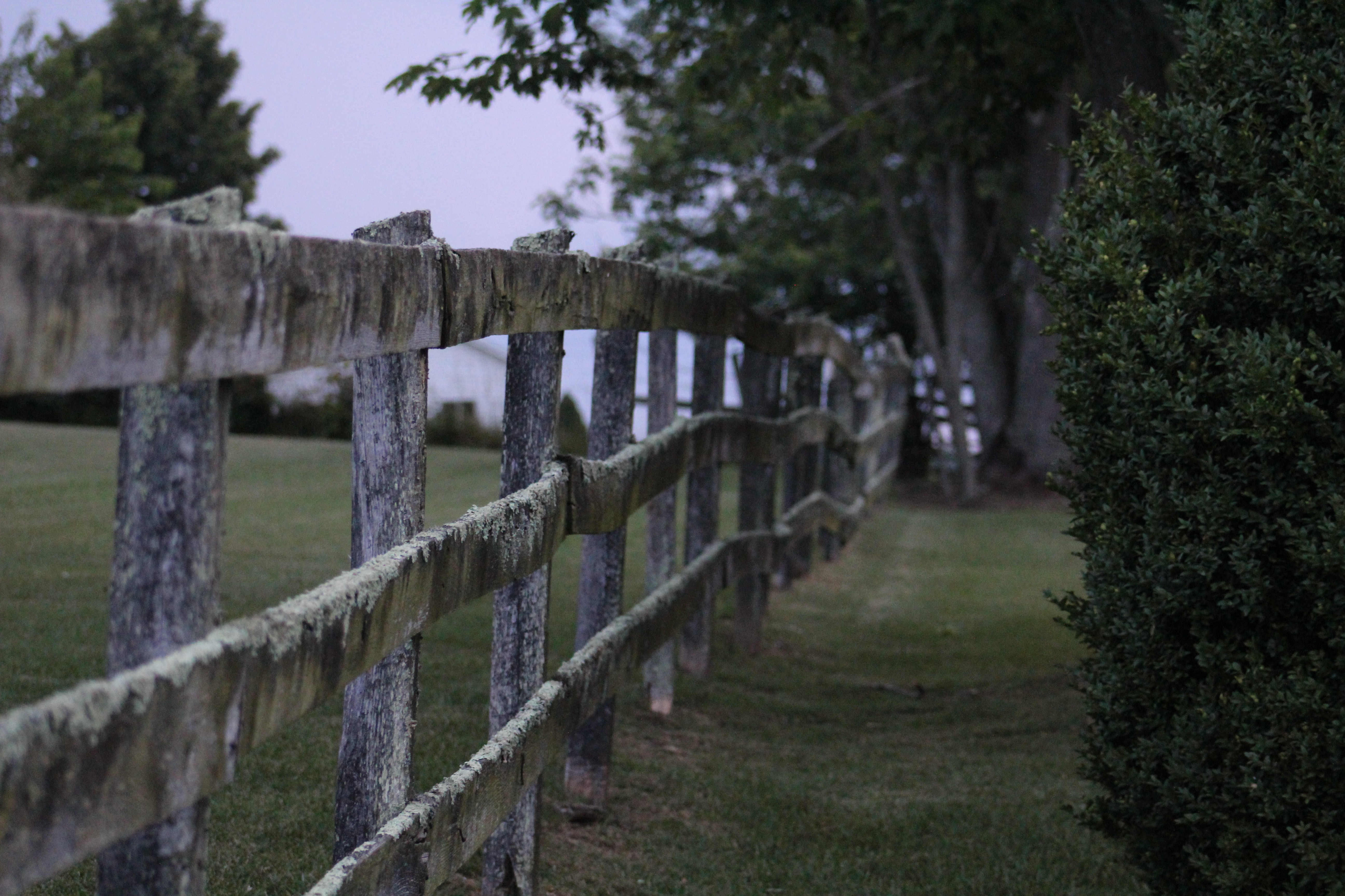 fence