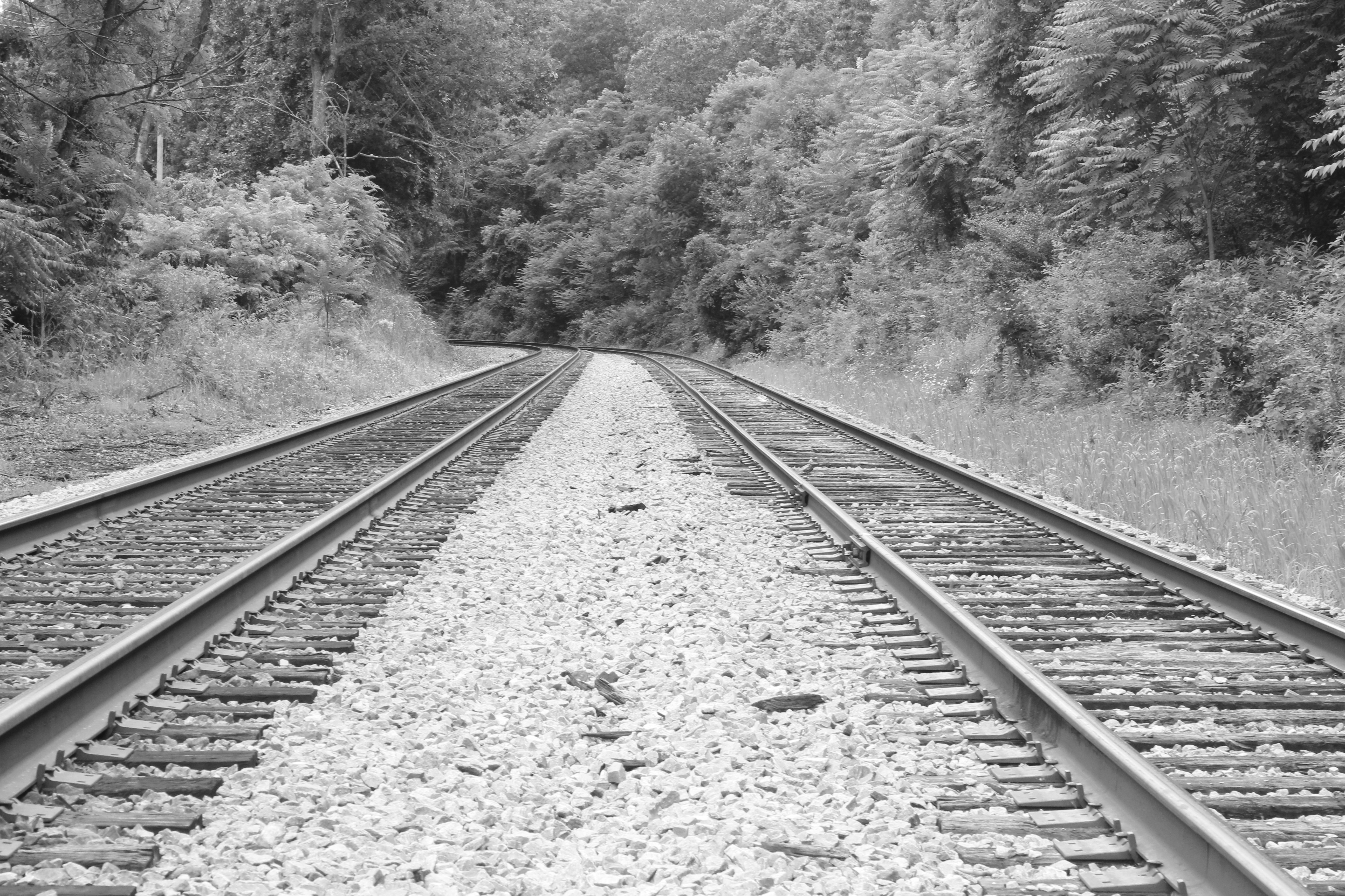 tracks
