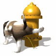 Click to enter Muckys kingdom