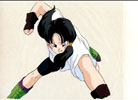 videl