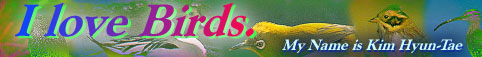banner Birds of Korea
