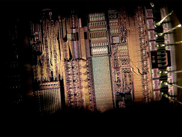 UV-EPROM da 504 bytes con circuiti di codifica-decodifica, SRAM da 32 bytes, e UV-eprom peronality da 64 bits, nonch bus e connessioni;ingrand.40X