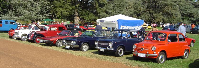 Photo of Fiats lined up at Wheels Expo