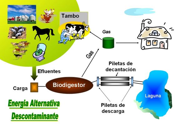  Biodigestor