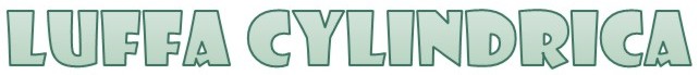Luffa Cylindrica