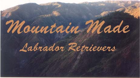 Mountain Made Labradors, Philippines