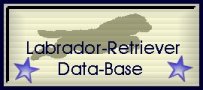 Labrador Retriever Database by Thomas Lanternier & Philippe Canal