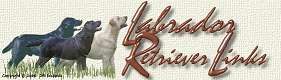 Labrador Retriever Links by Jill Ickowski