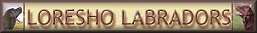 Loresho's Labradors, Finland