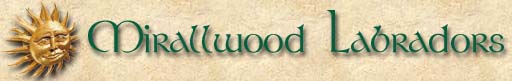 Mirallwood Labradors, Philippines