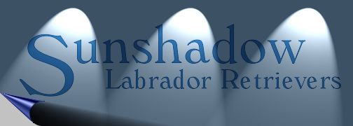 Sunshadow Labradors, Philippines