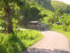 DSC00549.JPG (363403 bytes)