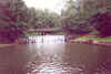 creek.jpg (159028 bytes)