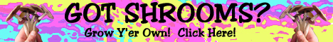 Grow Magic Mushrooms Easily in the Privacy of your own Home
