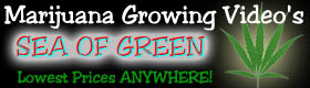 Banner Space Available