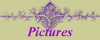 Pictures