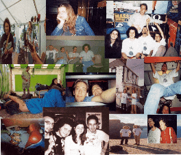 A Collage for your Wallpaper