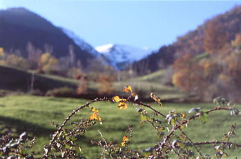 Parque Natural de Somiedo. Camino de la bra�a de la Pornacal