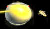 Nightengale 2.jpg (33790 bytes)