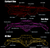 Tornado-side-front-rear.gif (120075 bytes)