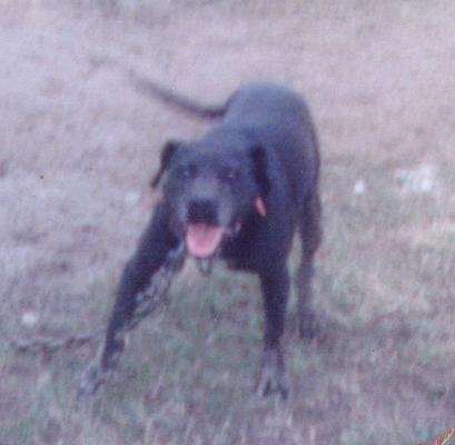 Boudreaux�s Maverick