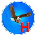 H_Squad Scenery's & Helo's