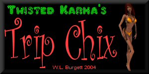 Visit my TripChix!