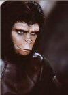 "Planet of the Apes" hit movie theaters in 1968. I was a big fan of the "Monkey Planet" when I was a young child, I even had the action figures and toy accessories!