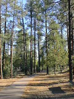This is the Show Low city park.