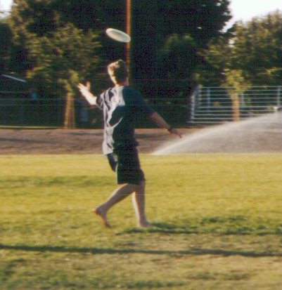 FrisbeeDogg