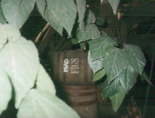Barrel