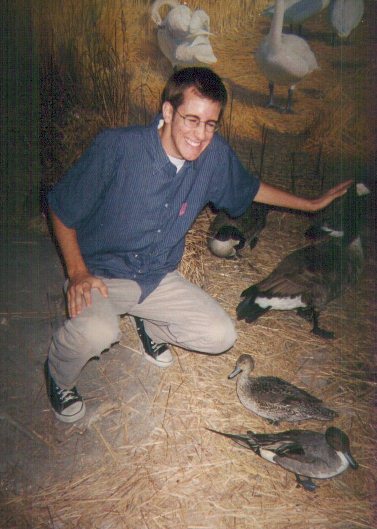 Geese
