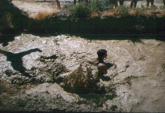 ARon swimming