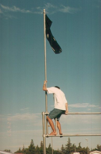 Pirate Flag
