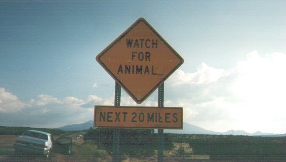 Watch for Animal