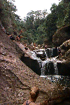 brave.gif (57449 bytes)