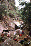 canyon.gif (65824 bytes)