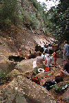 canyon2.gif (63917 bytes)